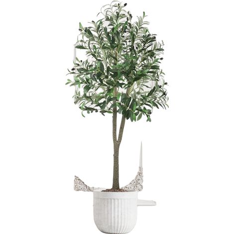 Arbre Olive Artificiel, Hauteur 150 cm, Matériau en Polyester, Utilisation Intérieure, Design Réaliste, Base en Ciment Stable (1/5)