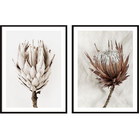 POSTER CON IMMAGINI IN CORNICE 53x73cm Dittico Set di 2 Fiori Boho P2080 (1/3)
