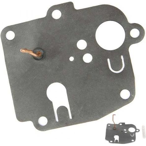 Membrane carburateur en kit pour Briggs & Stratton 391681 (1/3)
