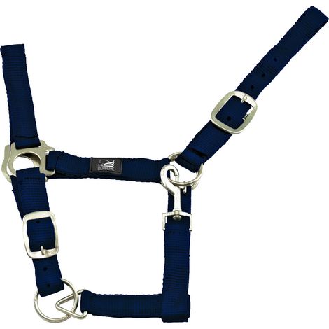 BLU taglia PONY Supreme Cavezza nylon doppia regolazione