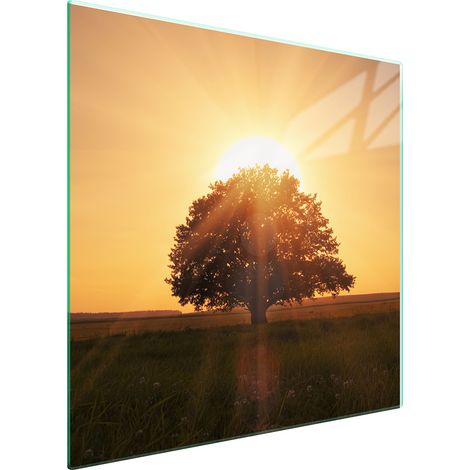 PLACA PROTECTORA DE VIDRIO PARA ESTUFA 50x52 ÁRBOL (1/5)