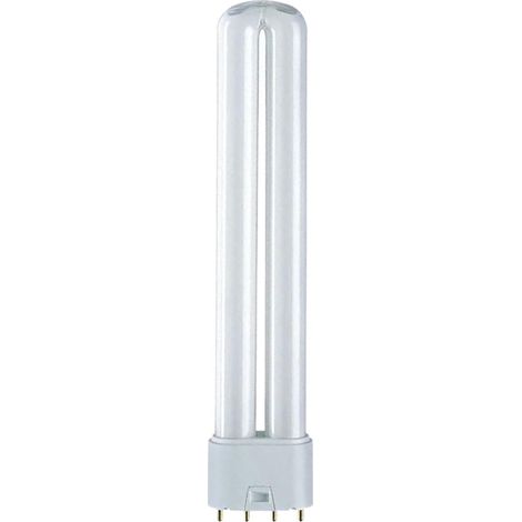 Ampoule Pl-l 36w 2g11 Lumière Du Jour éclairage Basse Consommation 4000k - Patron