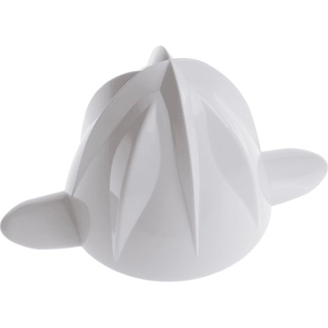 CONE BLANC PRESSE AGRUMES pour PIECES PREPARATION CULINAIRE... (1/4)