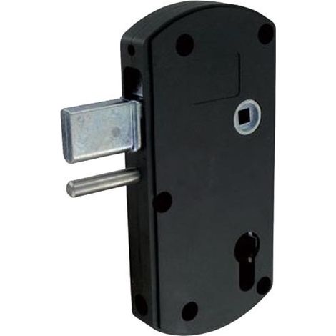 Tirard – Serrure monopoint en applique à pêne levant – Entraxe 70 mm – Axe 60 mm – Pour cylindre européen – Boîtier composite – Vis inox