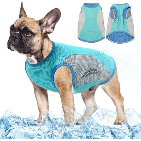 Dog Cooling Vest Lightweight Dog Vest Safety T Shirt Breathable Sun Resistant UV Protection Dog Cooling Jacket with Reflective Strip for Spring Summer Vest (1/5)