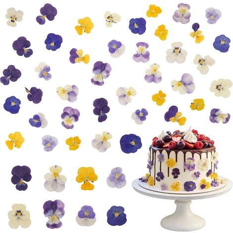 Fleurs décoratives de pensées séchées naturellement, 40 pièces fleurs de pensées Fleurs comestibles pour cocktails Artisanat DIY Décoration de cupcakes et de gâteaux Fabrication de bougies (1/5)