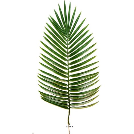 Feuille de palmier Phoenix x12 H63cm Plastique ext. D27cm superbe