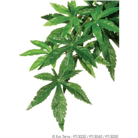 Planta artificial exo terra abutilon plástico 20x55 cm