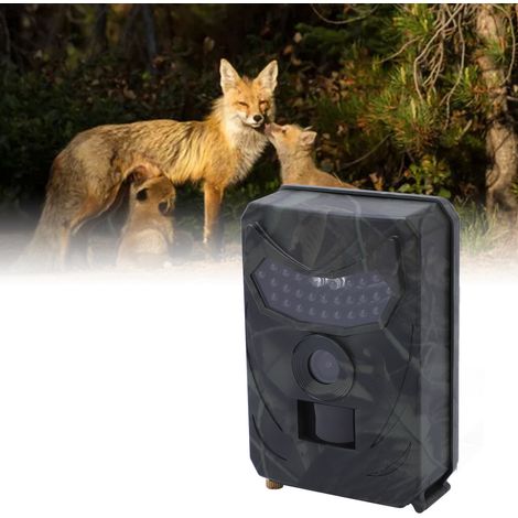Caméra infrarouge haute définition 1080p PR100C, caméscope étanche IP56 (1/5)
