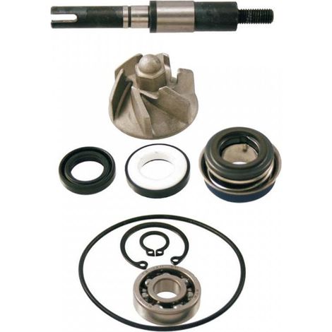 wasserpumpe rms für roller honda 150 pantheon 2003 bis 2005 kf06a