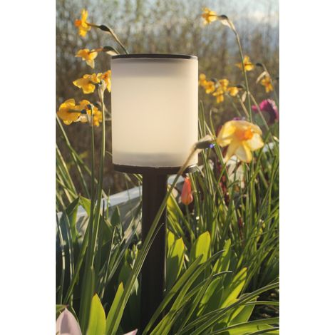 Tao 365 PREMIUM WATT & HOME 401291 (1/4)