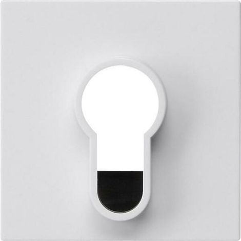Gira Copr.Interruttore a chiave/pulsante s.scritta System 55 Bianco puro [866403], 8664 03