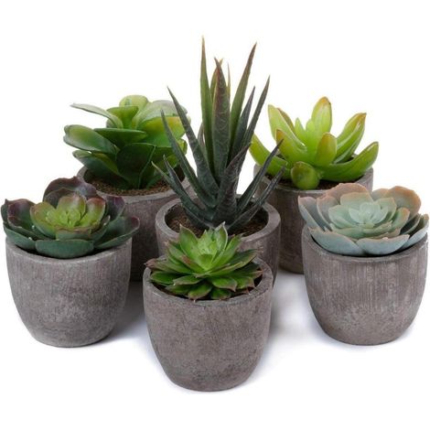 Künstliche Mini Sukkulenten Bonsai Kunstpflanze mit Topf 6er Set (1/5)