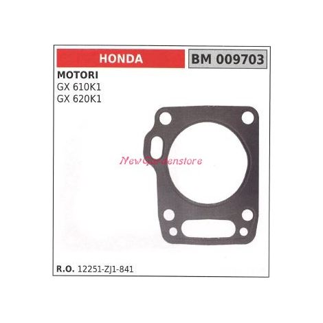 Kopfdichtung HONDA Motorpumpe GX610K1 620K1 009703