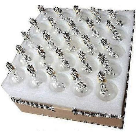 Lot de 25 ampoules de rechange G40 E12 7W pour guirlandes lumineuses - Qualité supérieure