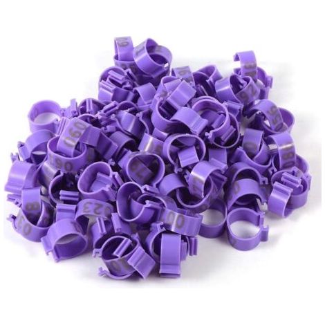 100 pièces/sac 8mm 001-100 anneaux de pied d'oie de canard de poulet en plastique numérotés (violet) (1/4)
