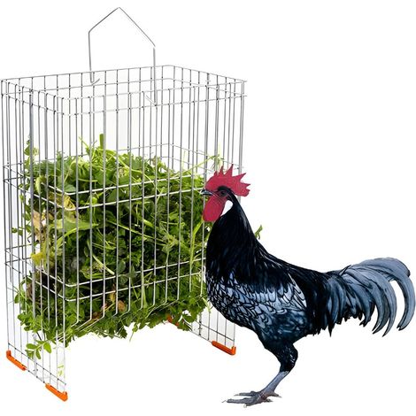 Cesta para Hierba - Forrajera para Aves de Corral - Comedero Antiestrés para Gallinas - Se Puede ubicar en el Suelo o Colgar - Acero galvanizado