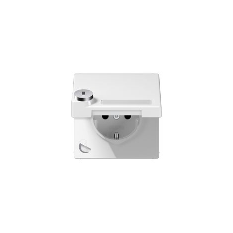 Jung Presa SCHUKO®, 16 A 250 V , con targhetta, SAFETY+, coperchio incernierato, con serratura di sicurezza, termoplastico, serie LS, bianco alpino LS 1520 NAKLSL WW