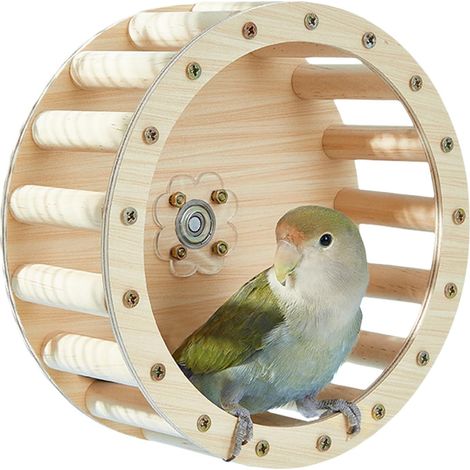 Roue De Course pour Perroquets - Perchoir Tournant pour Perroquets - Jeu en (1/5)
