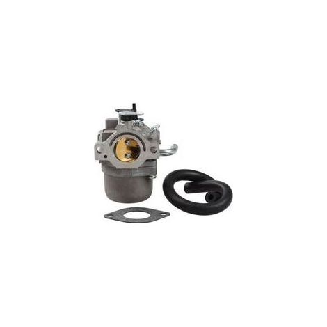 FENOPLASTICA Ersatzvergaser für Rasenmähermotoren der Modelle 593432, 794653, 590399 und 796077. (1/5)