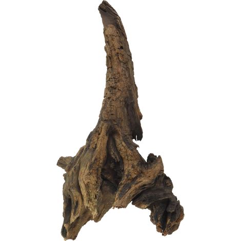 Amtra Legno Mystic Wood - Decorazione per acquario naturale, per acquario, paludari e terrari, 20-30 CM (1/3)