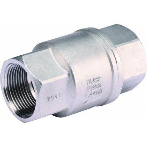 Clapet de retenue toutes positions Inox PN63 FF 3/4" (20/27) - Sferaco