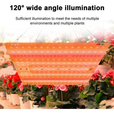 Lampe LED croissance plante spectre complet 30x30cm maison succulentes cactus intérieur fleur légume kit avec crochet (1/5)