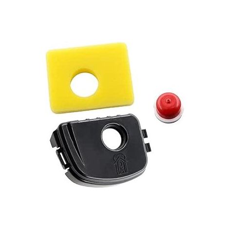 Couvercle de filtre à air - Boîtier de filtre à air - Kit de filtre à air pour Briggs & Stratton 300E 450E 500E 550EX 08P502 09P602 09P702 08P500 09P600 09P700 - Remplace 595663 595660 (1/5)
