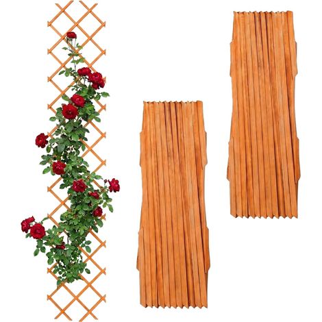Wall-Mounted Extendable Trellis Set of 3 for Vines (1/5)