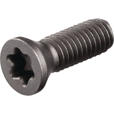 TECWERK Spannschraube US3510 Größe T15