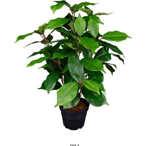 Ficus benjamina artificiel en pot H 40 cm, D 30 cm