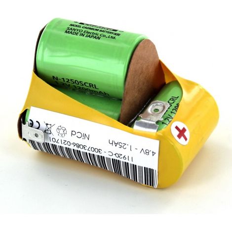 Batteria 4.8 v per Leifheit elettrico POwer MAX 119209 Supra
