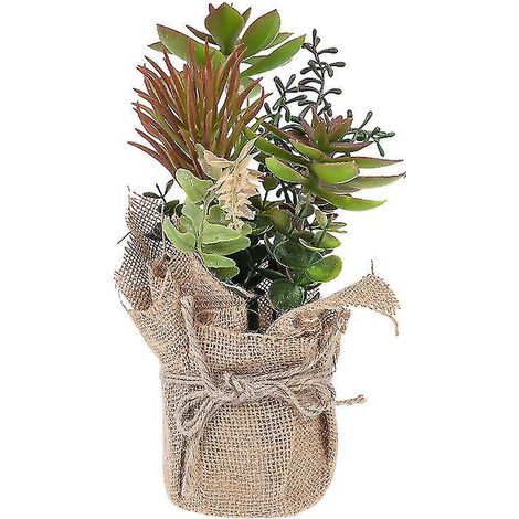 1 bonsaï succulent artificiel (1/3)
