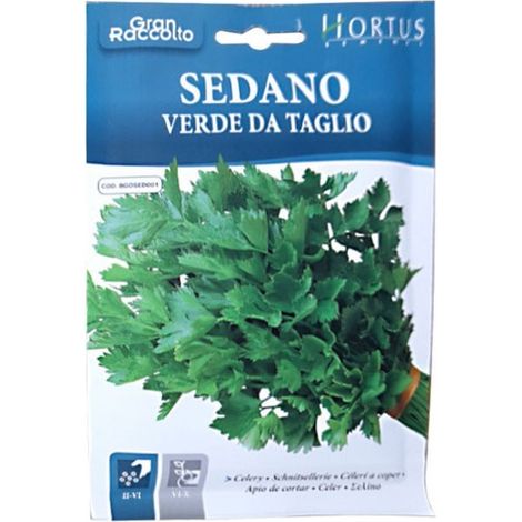 Sedano Verde da Taglio Gran Raccolto