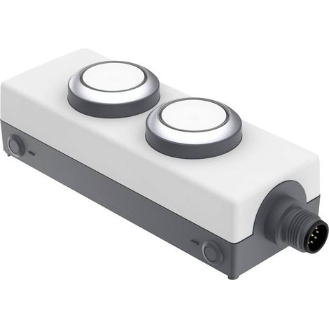 RAFI 1.22.392.392/2200 LDT091 Pulsante illuminato 24 V 0.5 A Momentaneo (L x L x A) 123.2 x 40 x 35.6 mm 1 pz.