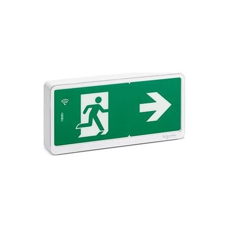 Schneider OVA59130 Exiway Light Bloque de emergencia para evacuación IP42 SATI LINK