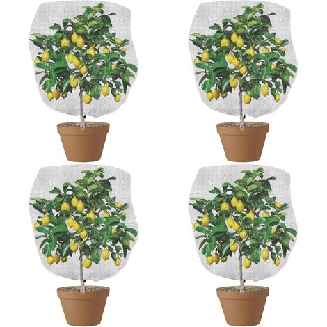 (150 x 100 cm) Un ensemble de 4 filets de jardin en maille protectrice pour protéger les plantes, les insectes et les oiseaux, avec cordons de serrage, adaptés aux fleurs, aux fruits et aux légumes
