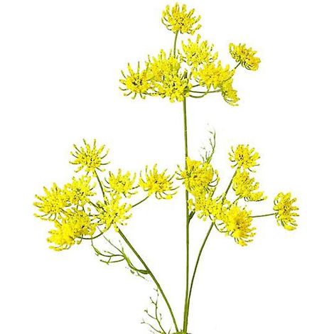 Fleur artificielle en dentelle exquise à 3 fourches, ne se fane pas, belle fleur artificielle en dentelle avec feuilles vertesjaune (1/5)