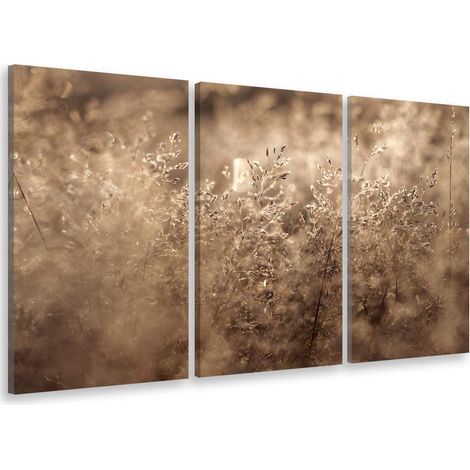 Tableau triptyque Tableau photo herbes séchées dans la lumière matinale - 90x60 cm (1/5)