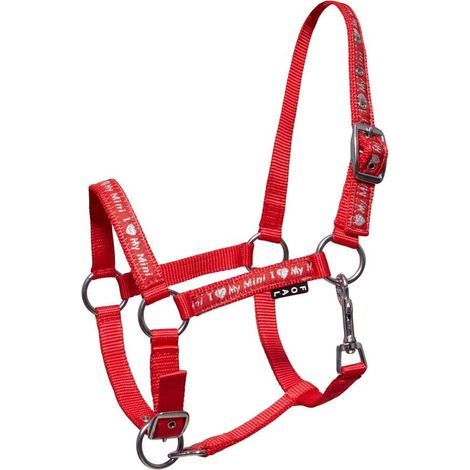 verstellbarer Fohlenhalfter mit robustem Riemen und silbernem Band zum Reiten (1/5)
