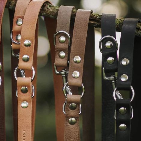 Laisse réglable multiposition pour chien en cuir pleine fleur avec anneaux, Stone 220 cm - PANGIVO (1/3)