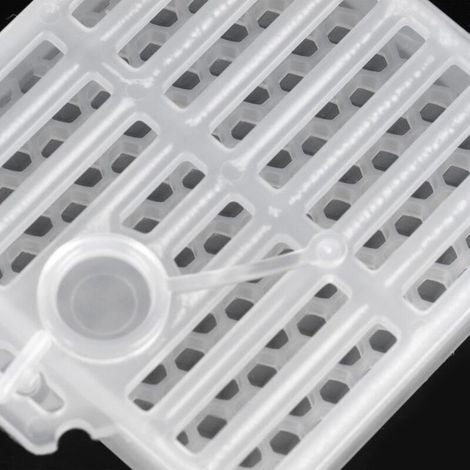 Set mit 5 Transportkäfigen für Bienenköniginnen