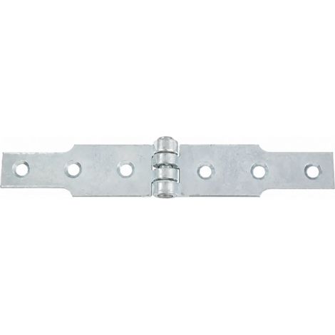 Cerniera congealed, 30 x 3 mm, 2 x L.100 mm, zincato bianco