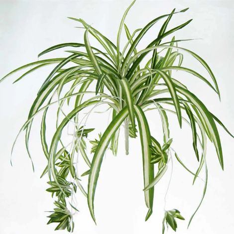 Gran ramo artificial de plantas Chlorophytum comosum, decoración de pared, 60 cm