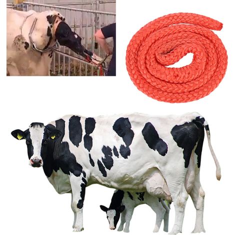 Accessoire de corde pour l'accouchement et la mise bas des vaches d'élevage, durable et adapté à la pratique de l'obstétrique. (1/5)