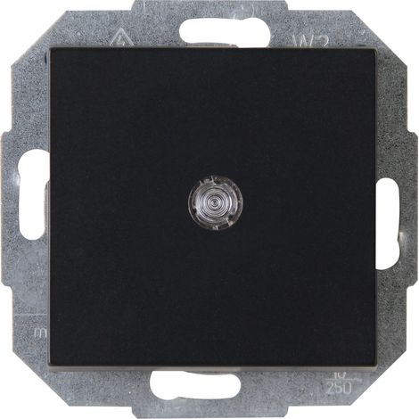 Interrupteur lumineux IP20 Noir mat