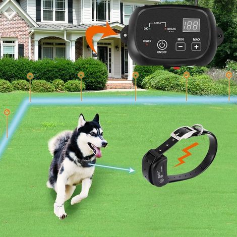 Beyamis Système de clôture électronique pour animaux de compagnie, noir (1/5)