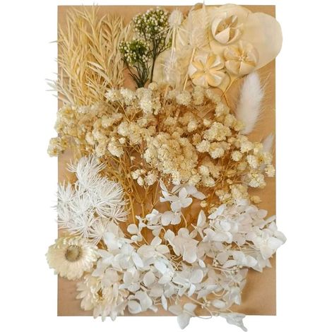 Fleurs et feuilles séchées, fleurs séchées pressées mélangées à diverses créations florales artificielles décoratives naturelles, beige-AquaForge (1/5)
