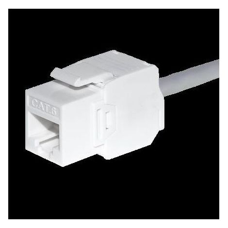 Module Keystone Jack RJ45 Cat. 5e UTP, Netrack sans outil, blanc