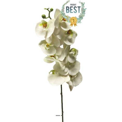 Tige orchidée phalaenopsis faux 9fleurons touché réel H108cmCrème-BEST - couleur: Crème